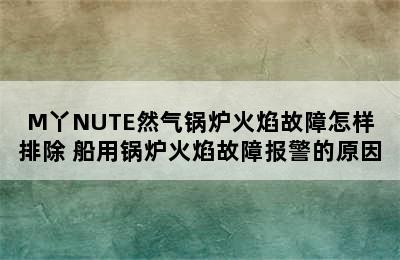 M丫NUTE然气锅炉火焰故障怎样排除 船用锅炉火焰故障报警的原因